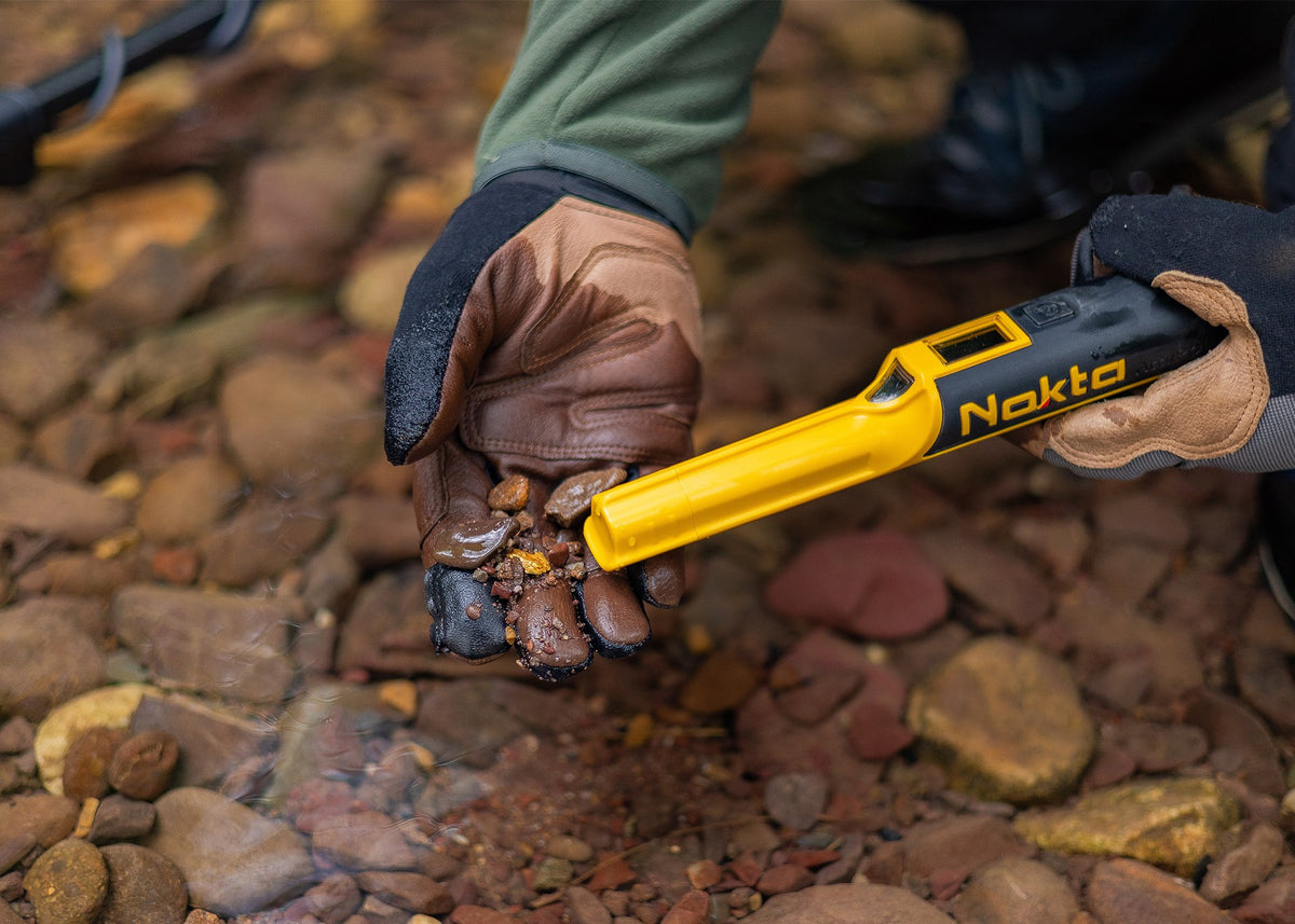 Nokta AccuPoint Waterproof Pinpointer